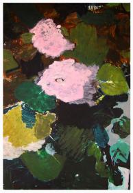 pelargoniebillede-3.jpg