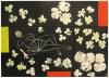 62-madam-butterfly-web_t1.jpg